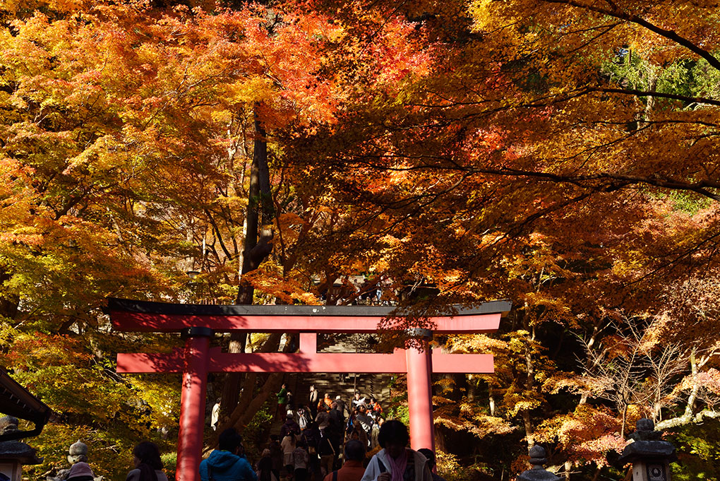 談山神社