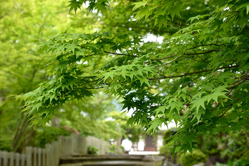 當麻寺奥院