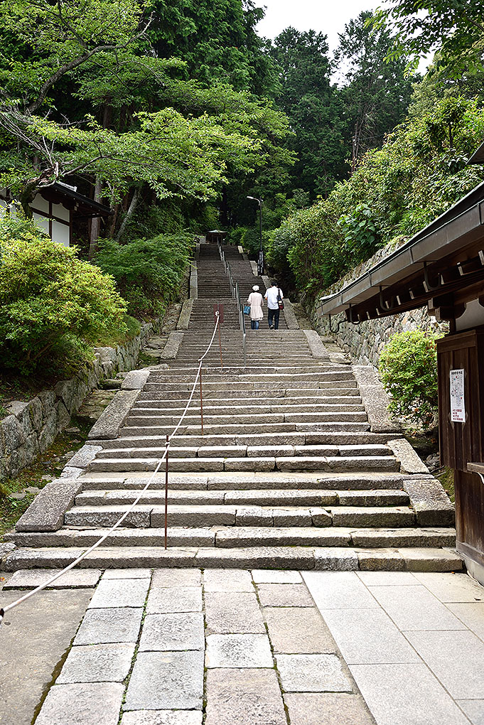 矢田寺