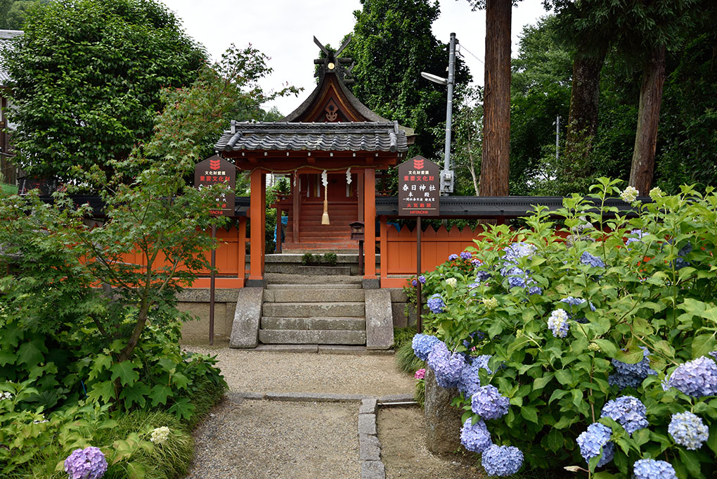 矢田寺境内の春日神社