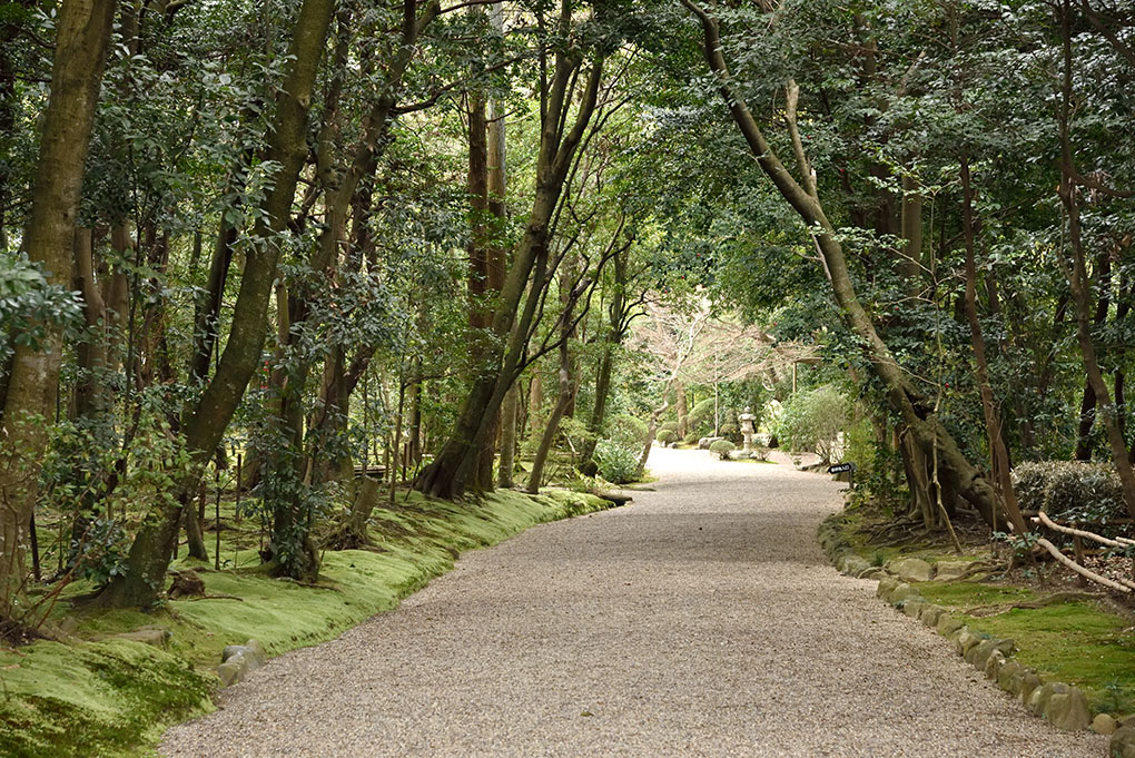 秋篠寺