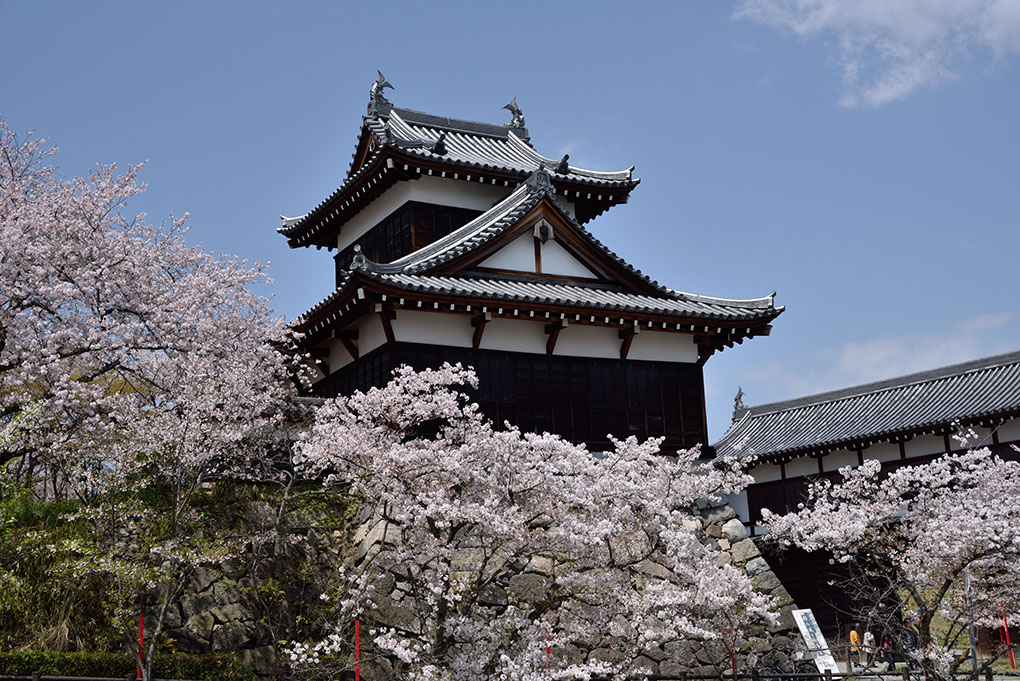 郡山城追手向櫓