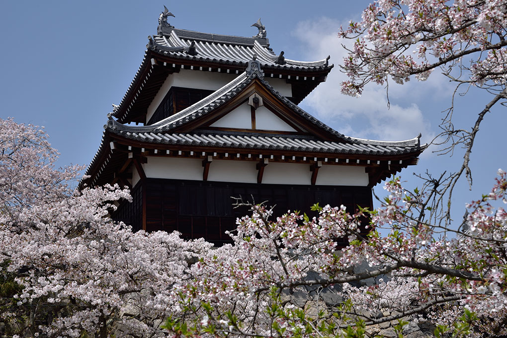 大和郡山城