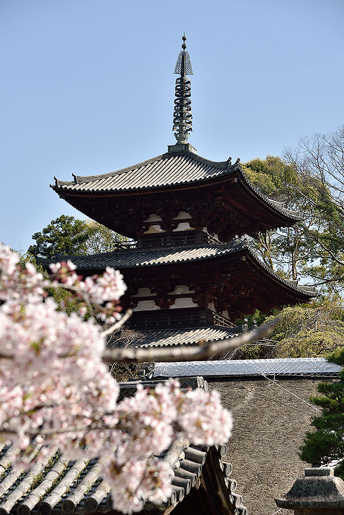 當麻寺東塔