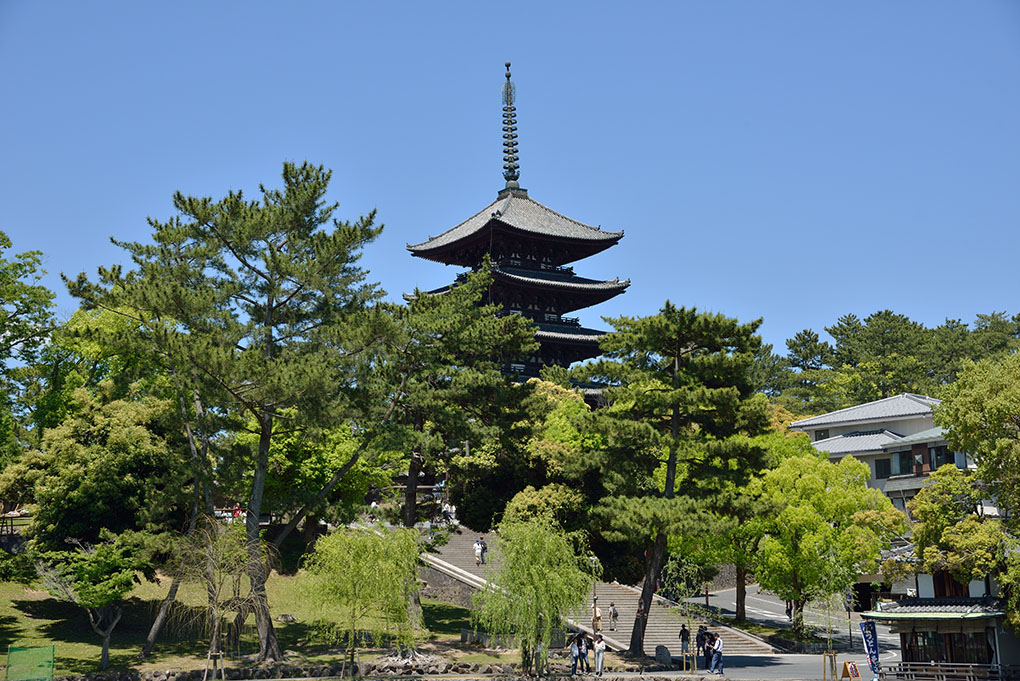 猿沢池から望む興福寺五重塔