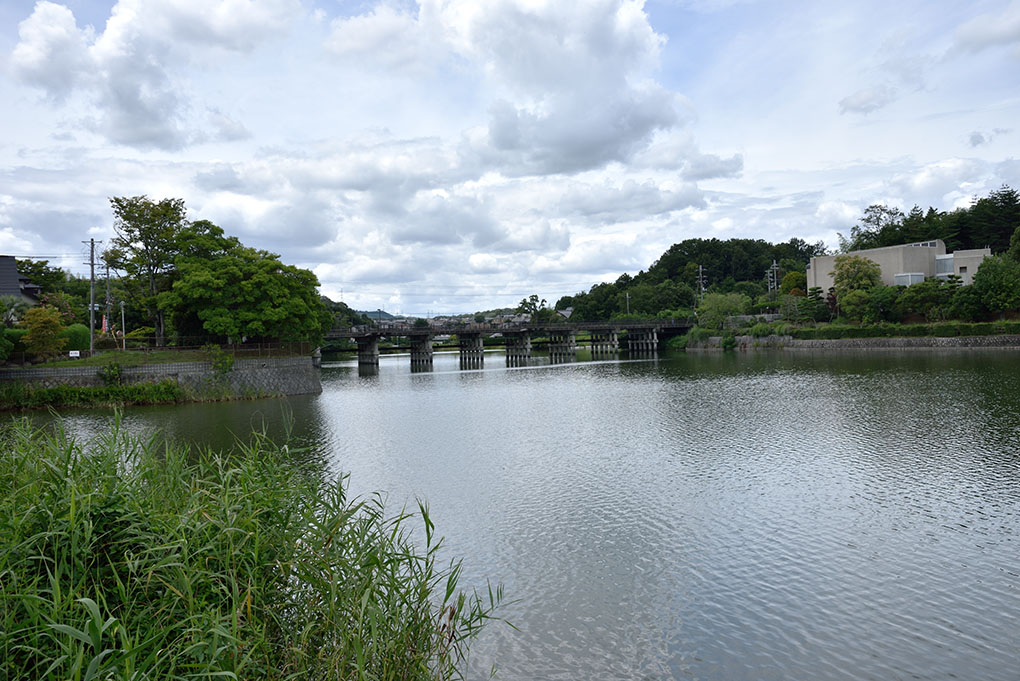 大渕池