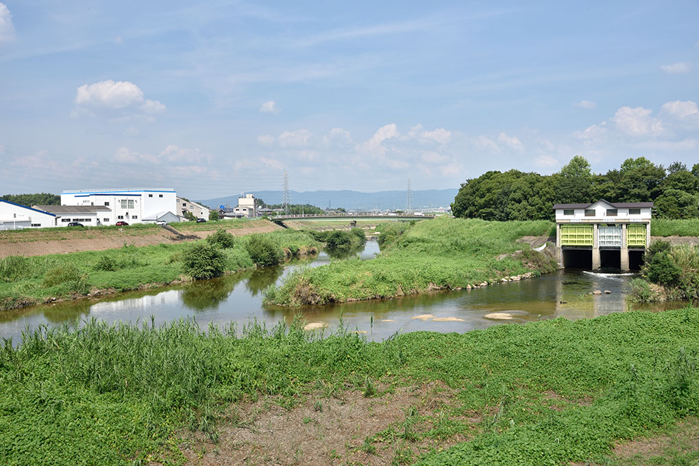 大和川