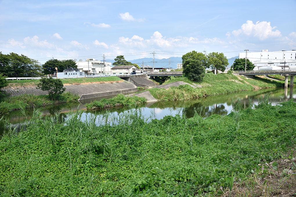大和川