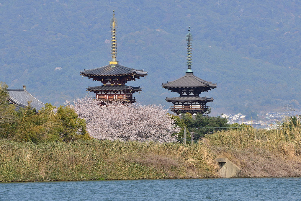 勝間田池