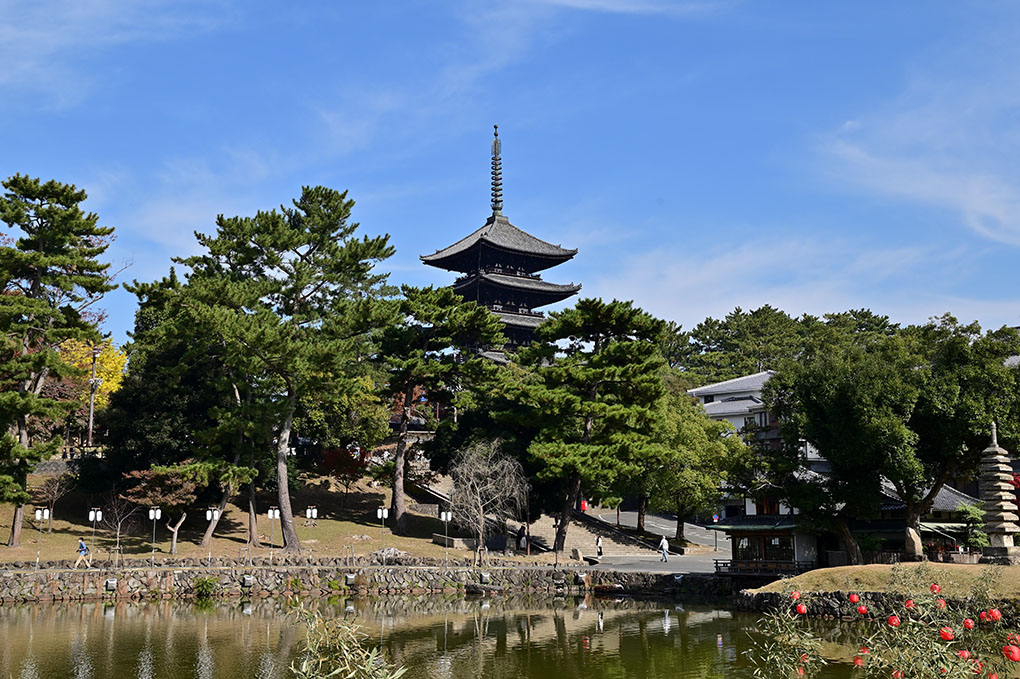 興福寺五重塔と猿沢池
