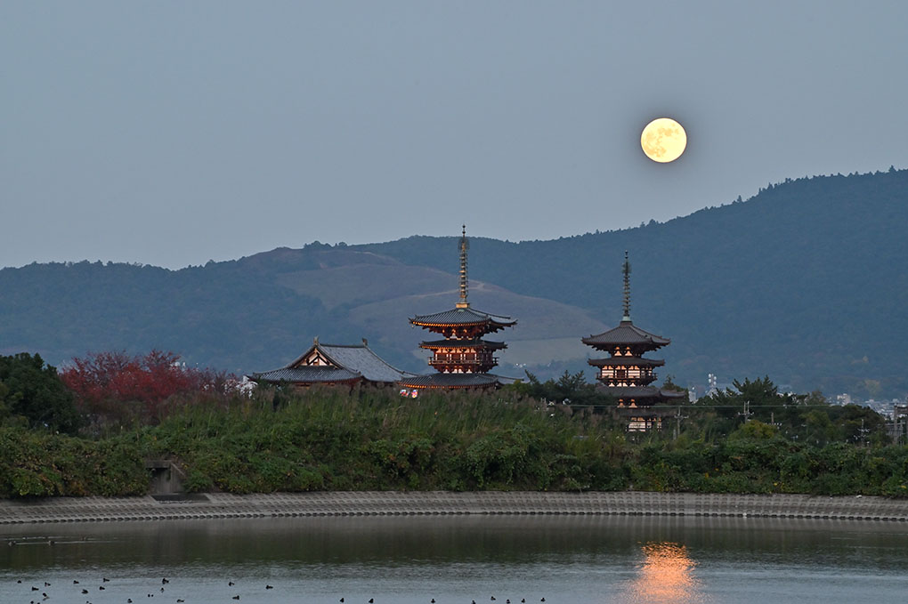 薬師寺と満月
