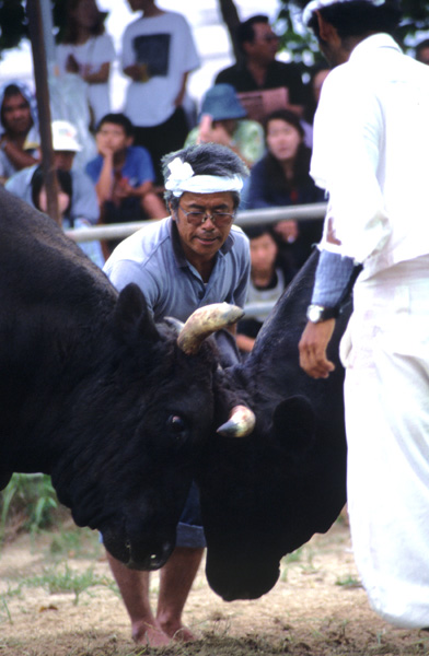 勢子