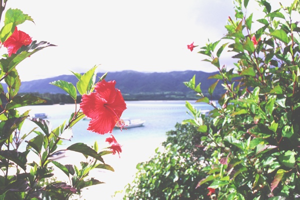 花