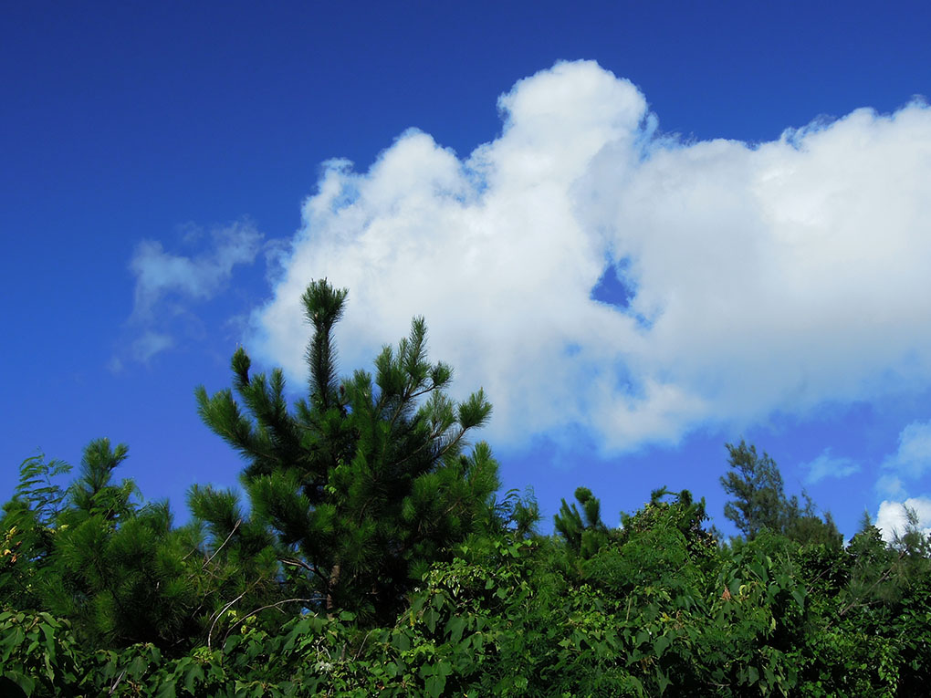 夏空